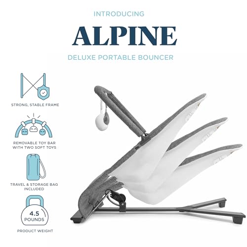 Baby Delight Alpine Deluxe Portable Bouncer | Infant | 0 – 6 months | Charcoal Tweed - color: Charcoal Tweed