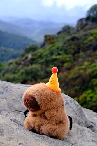 Rock Climbing Chalk Bag – Cute Plush Chalk Bag for Bouldering, Gym, Indoor & Outdoor Climbing – Drawstring Closure, Adjustable Waist Belt – Fun Character Design for Climbers - color: Capybara Birthday