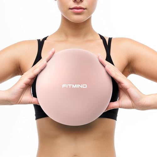 FITMIND_Pilates Ball 10 Inch Anti-Burst Slip Resistant Mini Yoga Ball for Fitness, Core Training, Physical Therapy, Balance, Stability, Stretching 200kg 440lbs Capacity - color: Pink