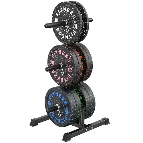 HANDBODE Weight Plate Rack with Barbell Storage, 1100 lbs Capacity | 6-Peg Vertical Holder for 1- or 2-Inch Plates, Heavy-Duty Organizer for Home Gym - style: 230 LB - Set with Rack