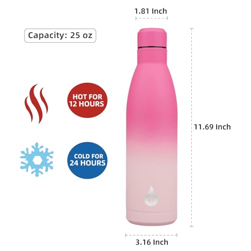 BJPKPK 25oz Insulated Stainless Steel Water Bottles Reusable Metal Travel Sports Water Bottle Keep Cold and Hot,Cherry - color: Cherry, size: 25 Ounces