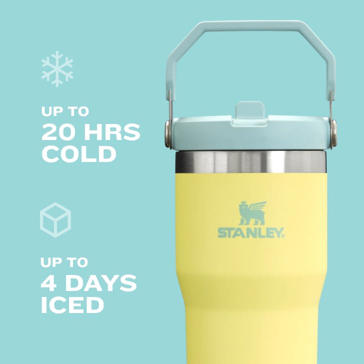 Stanley IceFlow Flip Straw Tumbler with Handle 20 oz | Twist On Lid and Flip Up Straw | Leak Resistant Water Bottle | Insulated Stainless Steel |BPA-Free | Ash - color: Ash, size: 20 Ounces