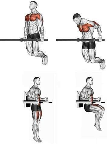Wall-Mounted Dip Station, Heavy Duty Exercise Bar with 4 Padded Handles