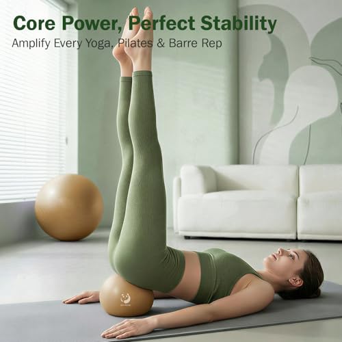 Slim Panda Pilates Ball, 9 Inch Small Exercise Ball, Anti Burst Mini Yoga Ball for Stability, Workout, Barre, Core Strength, Physical Therapy, Balance, Stretching - color: Rose Gold & Lavender