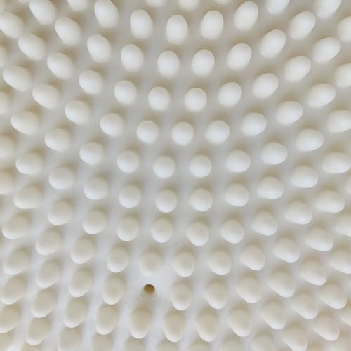 AppleRound Inflated Wobble Cushion with Hand Pump, Air Stability Board (Extra Thick), Core Balance Disc for Adults, Sensory Wiggle Seat for Kids, Flexible Seating for All Age, 13.5in / 34cm Diameter - color: White