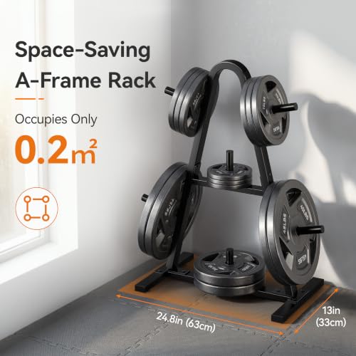Weight Rack for Home Gym, 400 LB Weight Tree - size: for Standard Weight Plate