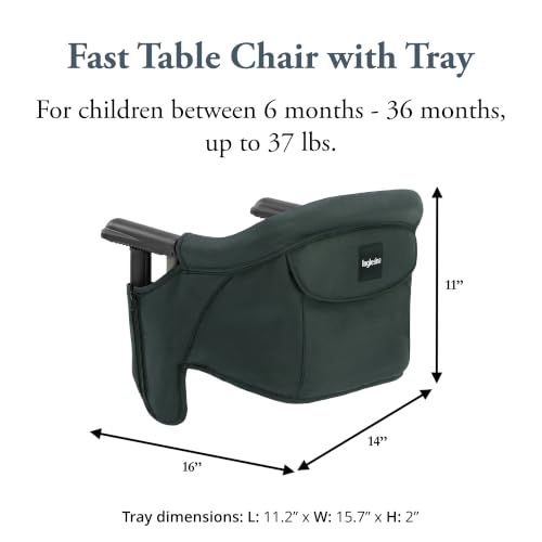 Inglesina Fast Table Chair - Dark Green + Fast Dining Tray - Portable Baby High Chair - for Babies & Toddlers up to 37 lbs -Fits Tables 0.8'' to 3.5'' Thick -Compact & Easy to Use -Travel Bag Included - color: Dark Green, style: Chair with tray