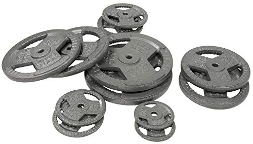 Fitvids 2-Inch Olympic and 1-Inch Standard Cast Iron Weight Plate for Strength Training & Weightlifting, Multiple Weights Available - color: Standard (1-Inch Center), style: 2.5LB (Pair)