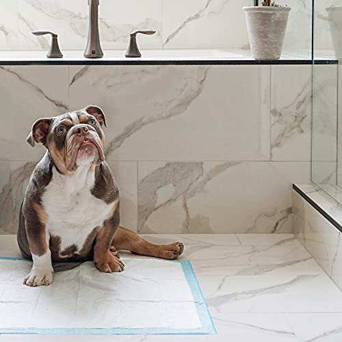 Four Paws Wee-Wee Superior Performance Unscented Pee Pads for Dogs & Puppies, Quilted Leak-Proof Dog Housebreaking Potty Training Floor Protection, 22" x 23", 14 Count - size: 14 Count