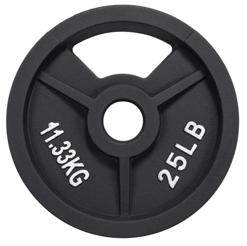 Fitvids 2-Inch Olympic and 1-Inch Standard Cast Iron Weight Plate for Strength Training & Weightlifting, Multiple Weights Available - color: Olympic (2-Inch Center), style: 25LB Pair