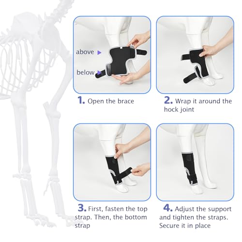 Dog Front Leg Brace - Hock Joint Compression Wrap Providing Stability for Dog for ACL , Arthritis, Joint Discomfort Aid in Wound Care and Recovery - Dog Wrist BracePreventing Injuries, Sprains (XL) - size: X-Large