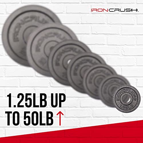 Standard 1 inch Cast Iron Weight plates - Superior Hammertone Finish, Wider Range 1.25-50 lbs Weights. Ideal for Dumbbell Handles, 1in Barbells, Adjustable Kettlebell Handles - Sold in Pairs - color: 10lb (Set of 2)