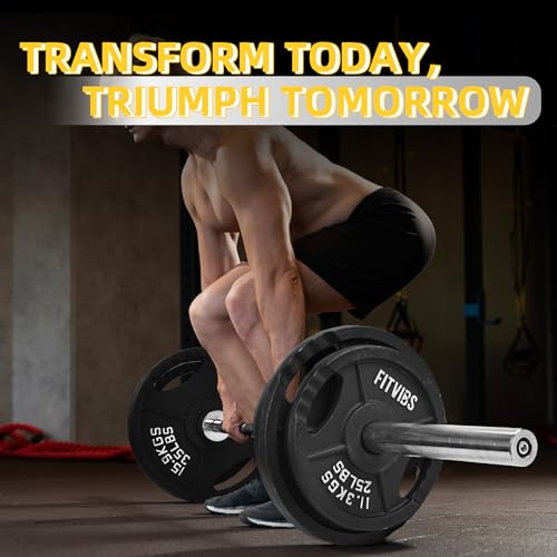 Fitvids Standard Cast Iron 1-Inch Weight Plates for Strength Training & Weightlifting, 35LB/70LB/120LB - style: Set (120LB: 2.5/5/10LB X4+25LB X2)