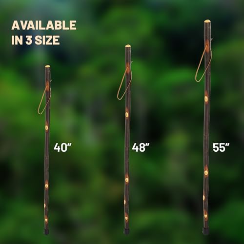 Handmade Wooden Walking Cane for Men Women Seniors with Genuine Leather Wrist Strap for Hiking, Walking and Outdoor Trekking - Made in USA - size: 48" - Medium Adult, style: Ole Hickory
