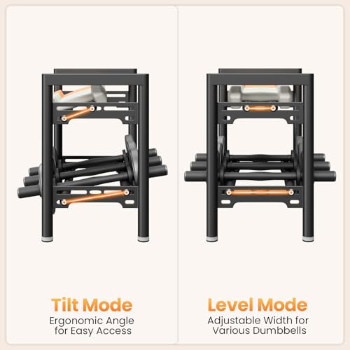 Upgraded Dumbbell Rack, 600LBS | 250LBS Heavy Duty Weight Rack for Home Gym, Weight Rack for Dumbbells & Kettlebells Organizer (Rack Only) - size: 2 Tier