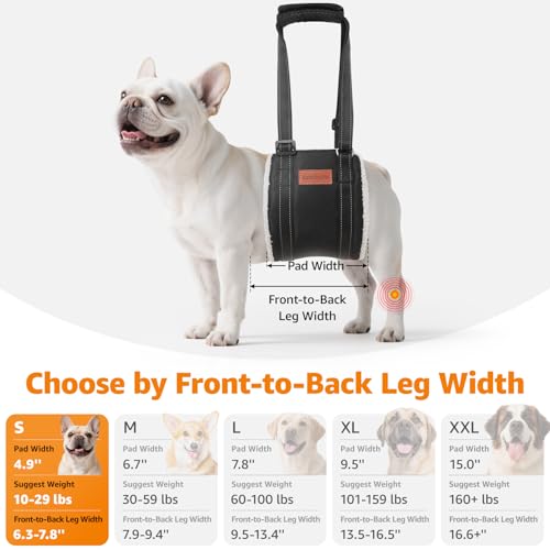 LOOBANI Portable Dog Sling for Back Legs, Hip Support Harness to Help Lift Dogs Rear for Canine Aid and Old K9 Cruciate Ligament Rehabilitation - color: Black, size: Small