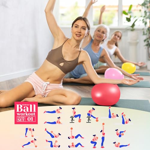Aoriher 10 Pack 9 Inch Small Pilates Ball Bulk Mini Exercise Ball Portable Non-Slip Workout Yoga Balls with Air Pump for Stability, Barre, Fitness, Balance, Physical &Core, Gym Home Office Use - color: Fresh color