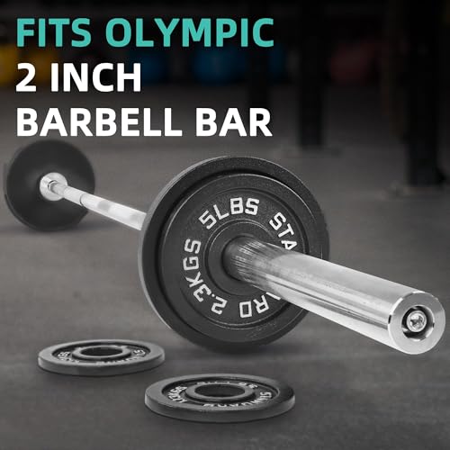 Fitvids 2 Inch Olympic Barbell Weight Plates and Bar Set, 5 FT Barbell Bar and 95 LB(2.5-25 LB) Barbell Weight Set for Home Gym Strength Training - style: 95LB Set with Bar Style #2