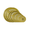 Gold Finish Olympic Steel Plates - Pairs and Sets 2 Inch Barbell Standard in Premium Gold for Weight Lifting - color: 155lb Set