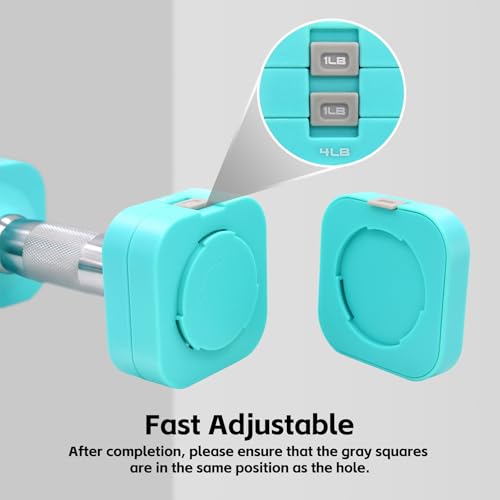 20LBS Adjustable Dumbbell Set, 4 in 1 Free Weights Dumbbells Set for,4lb 6lb 8lb 10lb, with Metal Non Slip Handle，Quick Change，Home Gym Strength Training Equipment for Men and Women - color: Blue
