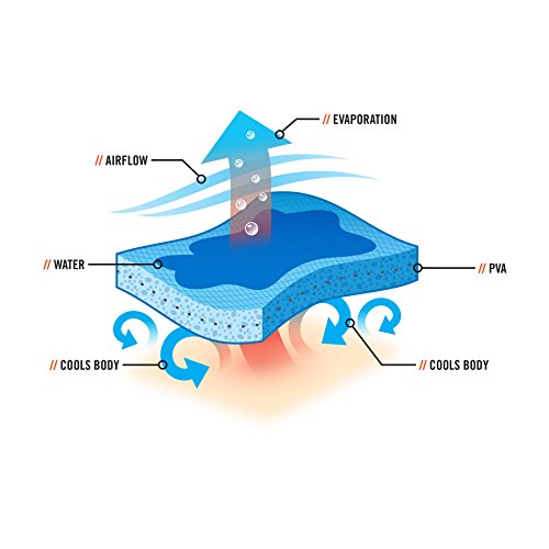 Ergodyne Chill Its 6603 Cooling Neck Wrap, Long Lasting Cooling Relief,Blue 4" x 29-1/2"