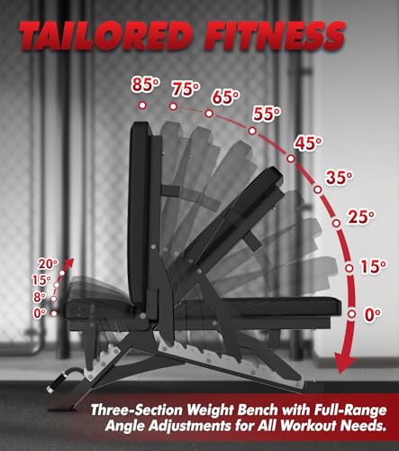 RITFIT Adjustable Weight Bench, Incline Decline Flat, 1300LB Capacity | Full Body Workout Bench for Home Gym Strength Training, 10 Backrest Positions, 3 Seat Angles, Heavy Duty Steel Frame - color: Black, with 2x5lb Rubber Hex Dumbbells