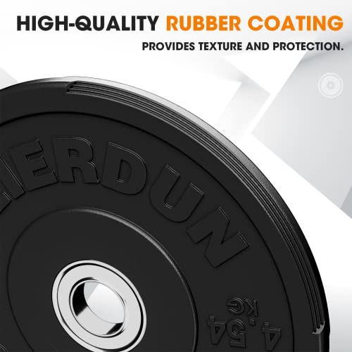 FEIERDUN Color Bumper Plate Set, 2-Inch Olympic Weight Plates, Low Bounce Rubber Barbell Plates with Stainless Steel Insert for Weightlifting, Strength Training, CrossFit & Home Gym, 10LB-370LB - style: A) 10LBS Pair