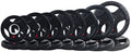 BalanceFrom Cast Iron Olympic 2-Inch Plate Weight Plate for Strength Training, Weightlifting and Crossfit, Multiple Packages - color: Style #5, style: F. 280LB Set