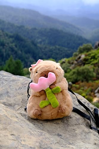 Rock Climbing Chalk Bag – Cute Plush Chalk Bag for Bouldering, Gym, Indoor & Outdoor Climbing – Drawstring Closure, Adjustable Waist Belt – Fun Character Design for Climbers - color: Capybara Flower