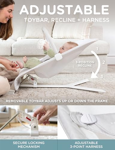 Baby Delight Alpine Deluxe Portable Bouncer | Infant | 0 – 6 Months | Driftwood Grey - color: Driftwood Grey