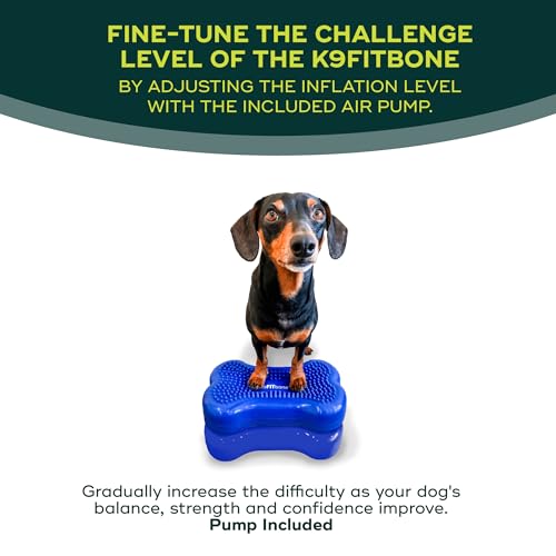 FitPAWS® K9FITbone® - Mini, Blue (Set of 2) | Dog Balance Training Platform & Exercise Equipment | Workout Tool for Strength, Core & Stability - color: Blue