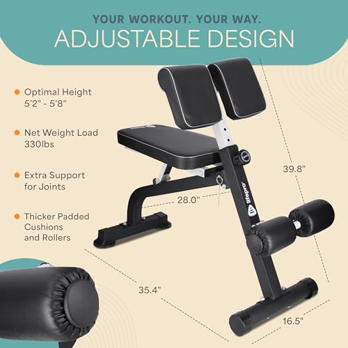 Lifepro SculptTrainer Roman Chair – 20+ Exercises, Foldable, 330 lb Cap | Hyperextension, hip thrusts, sit-ups & back extensions, 10 height positions, padded seat + dual rollers, alloy steel - color: Charcoal Gray, size: Large