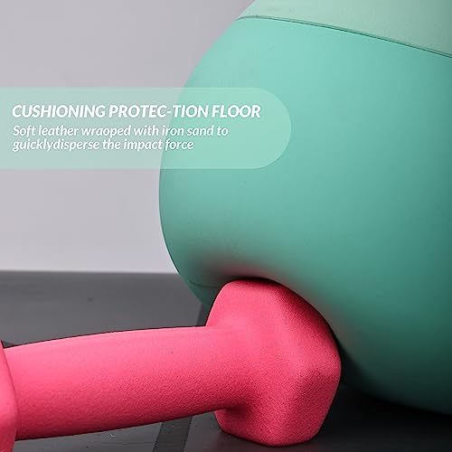Signature Fitness Soft Kettlebells - Sea and Iron Sand Filled Weights for Women and Men - Color Coded Soft Vinyl Kettlebells, Multiple Sizes - style: E. 25-Pound
