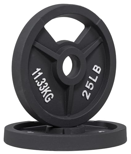 Fitvids 2-Inch Olympic and 1-Inch Standard Cast Iron Weight Plate for Strength Training & Weightlifting, Multiple Weights Available - color: Olympic (2-Inch Center), style: 25LB Pair