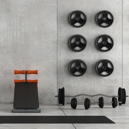 Wall Mounted Weight Plate Rack Storage, Steel Wall Mounted Weight Plate Holder Fits 2" Plates for Home Gyms, Garages, and Power Racks