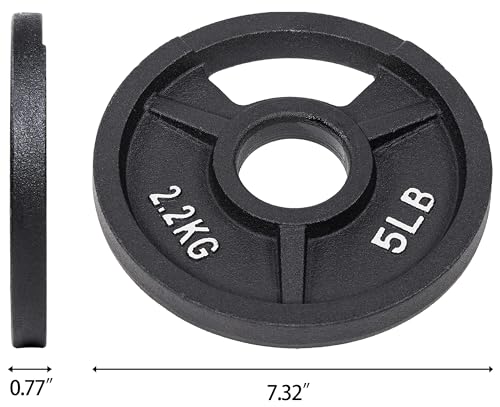 Fitvids 2-Inch Olympic and 1-Inch Standard Cast Iron Weight Plate for Strength Training & Weightlifting, Multiple Weights Available - color: Olympic (2-Inch Center), style: 5LB Set of 4