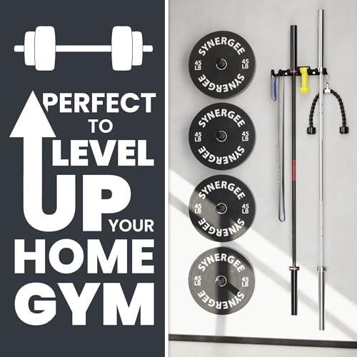 Synergee Wall Mounted Barbell Holder – Heavy Duty Gym Accessory Rack - color: f) 6 Bracket