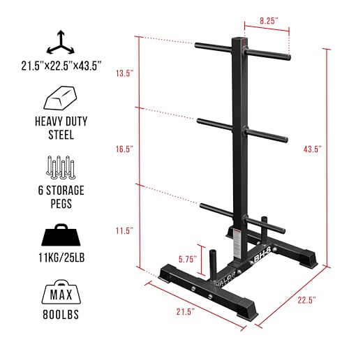Valor Fitness Weight Plate Rack with Barbell Holders – Heavy-Duty Steel Storage Tree with 6 Pegs and 2 Vertical Bar Sleeves for Standard and Olympic Plates – 800 lb Capacity for Home & Garage Gyms - color: Black