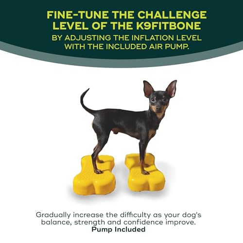 Mini K9fitbone Balance Training Platform (Set of 2) - color: Mango