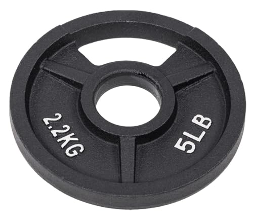 Fitvids 2-Inch Olympic and 1-Inch Standard Cast Iron Weight Plate for Strength Training & Weightlifting, Multiple Weights Available - color: Olympic (2-Inch Center), style: 5LB Set of 4