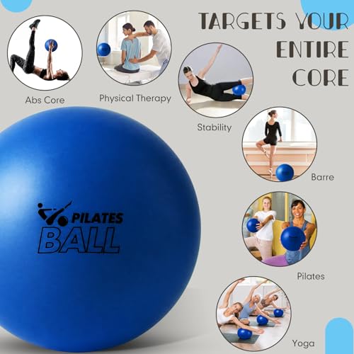 Set of 25 Pilates Balls Bulk 9 Inch Small Exercise Ball for Yoga, Stability, Physical Therapy, Balance, Barre, ABS Core, Gym, Training, with Mesh Bag and Pump - color: Blue