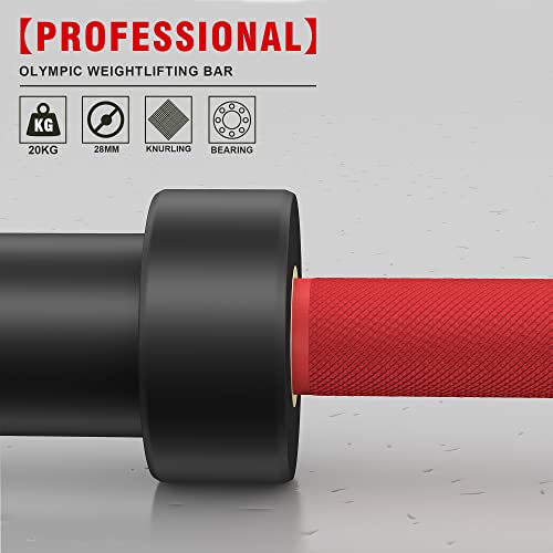 Curl Bar Olympic Barbell EZ Bar 330LB/700LB/1000LB/1500LB for Biceps Curl, Squat, Weightlifting - style: 1000LB-Red
