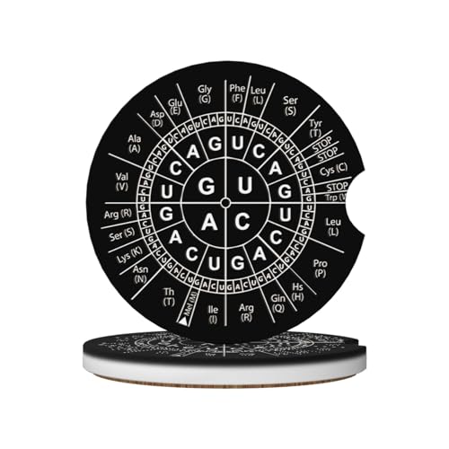 Biology Genetic Code Science Car Coasters for Cup Holders, 2 Pack Absorbent Ceramic Drink Cup Coaster for Women Men, Auto Interior Accessories - color: T17