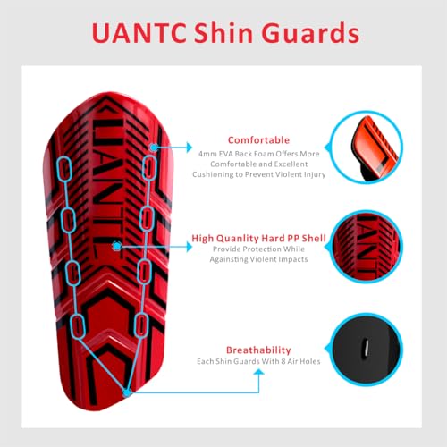 Shin Guards - Soccer Shin Guards with Cushion Protection for Kids/Adults - color: Red and Purple,Shin Pads 2 Pairs, size: Large