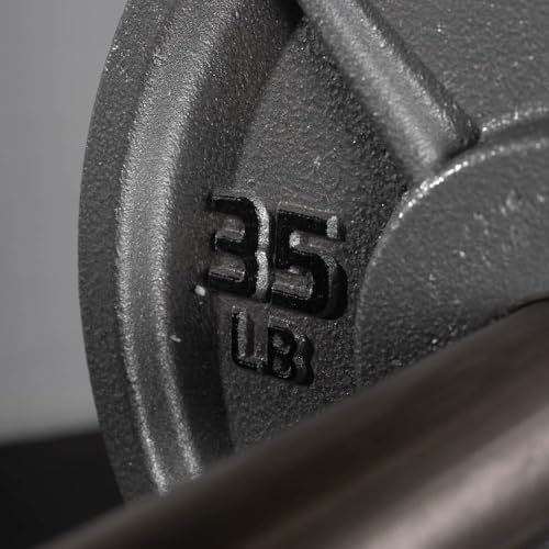 Titan Fitnes Cast Iron Olympic Plates, Classic Weight Plate Design, Hammer Finish - size: 35 LB Individual