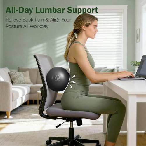 Slim Panda Pilates Ball, 9 Inch Small Exercise Ball, Anti Burst Mini Yoga Ball for Stability, Workout, Barre, Core Strength, Physical Therapy, Balance, Stretching - color: Black