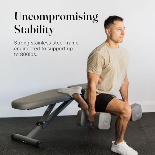 WeGym Fitness Bench, Adjustable, Collapsible, Comfortable, and Luxurious Home Gym Bench for Strength Training - color: Grey