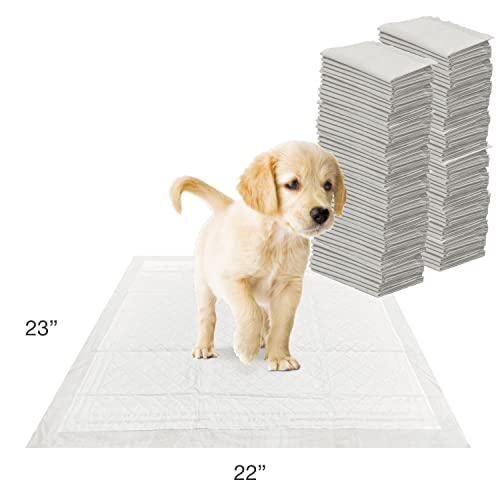 Four Paws Wee-Wee Super Absorbent Unscented Pee Pads for Dogs & Puppies with Insta-Rise Border, Leak-Proof Dog Housebreaking Potty Training Floor Protection, 22" x 23", 100 Count - size: 100 Count