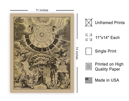 Poster Master Vintage The Alchemical Tree of Life Poster - Retro Print - Celestial Art - Mythology Art - Gift for Men & Women - Wall Decor for Living Room or Bedroom - 11x14 UNFRAMED Wall Art - color: Multicolor, size: 11"L x 14"W