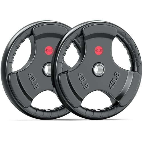 XDDIAS Rubber Weight Plates for Barbell, 2-Inch Olympic Grip Plate for Strength Training, Weightlifting and Bodybuilding in Home & Gym, Solid Cast Iron Weight Plates Pair and Sets - color: 2x45LB